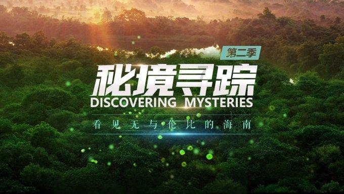小猫钓鱼正版下载中文版