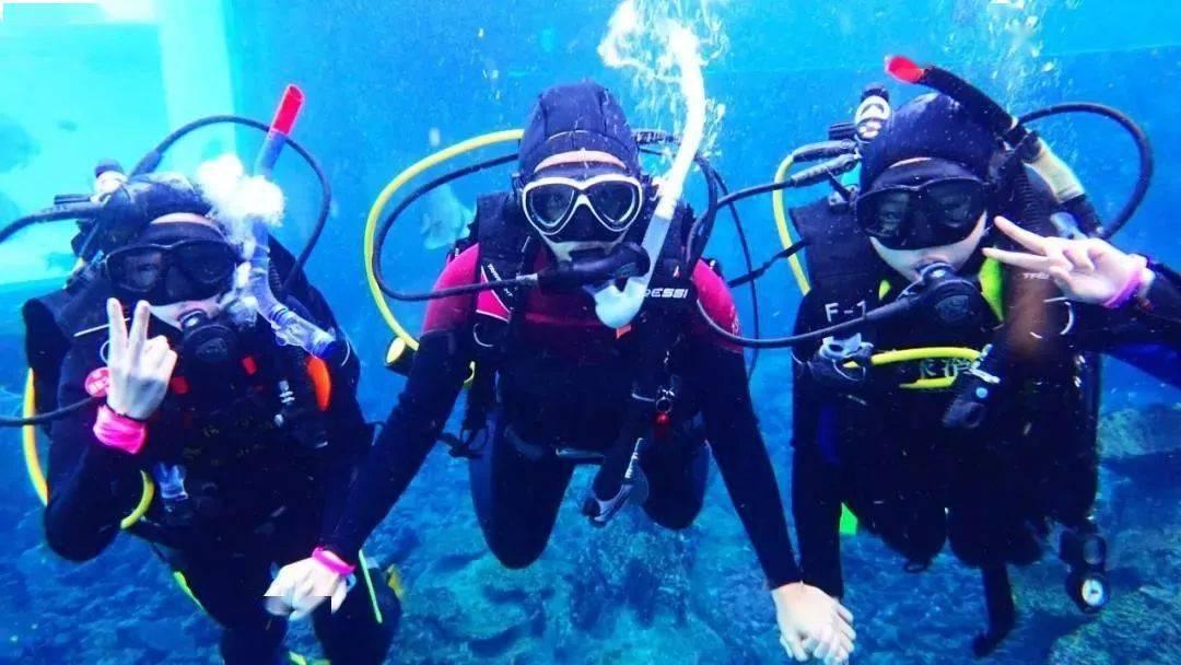 失忆的流浪者