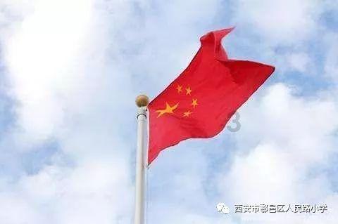 国产品牌表现强势，OPPO稳居2023年国内出货量第三
